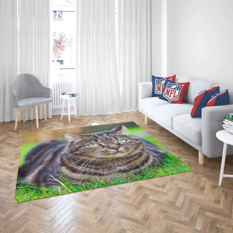 Cat Whiskers Feline Charm Rug 2