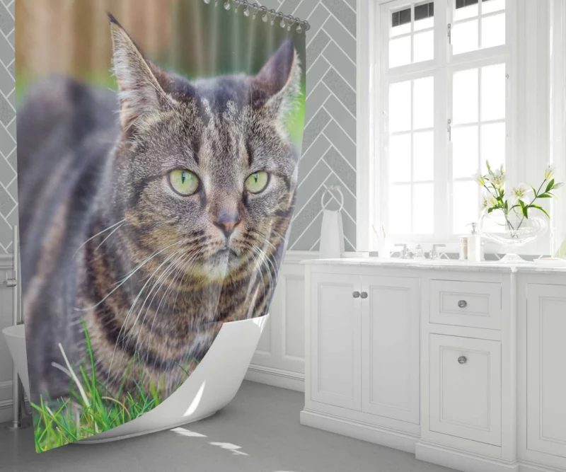 Cat Whiskers Feline Charm Shower Curtain 1