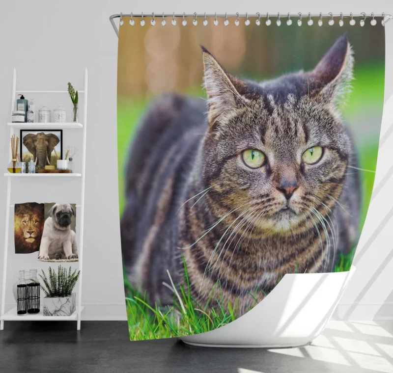 Cat Whiskers Feline Charm Shower Curtain