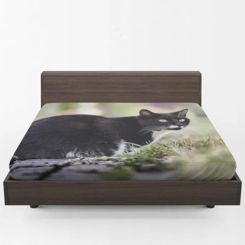 Cat Wild Fitted Sheet