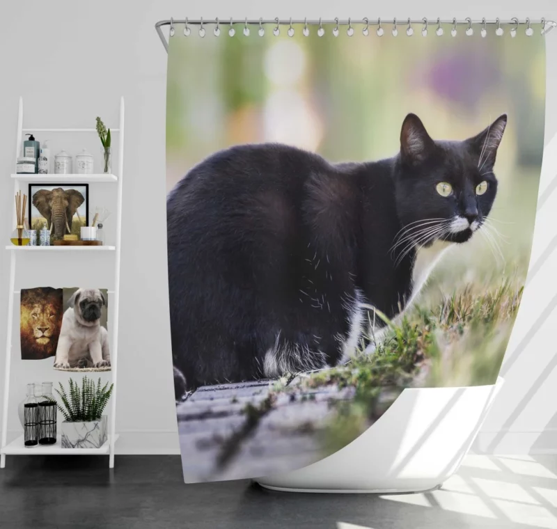 Cat Wild Shower Curtain