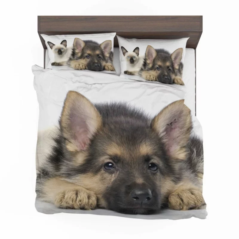 Cat and Dog Duo Adorable Companions Bedding Set 1