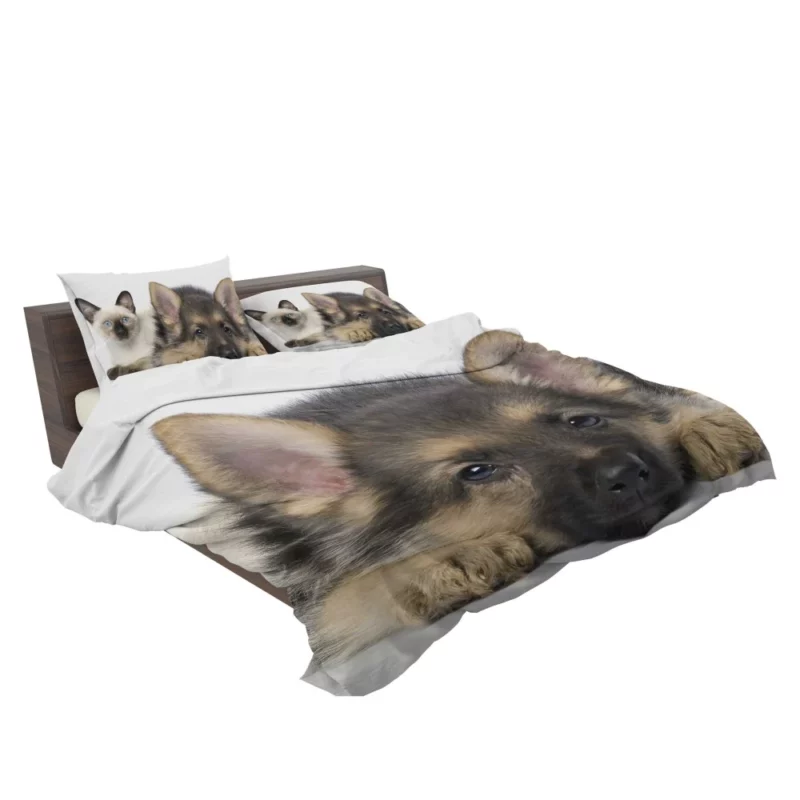 Cat and Dog Duo Adorable Companions Bedding Set 2