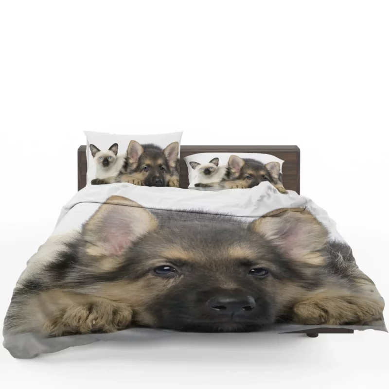 Cat and Dog Duo Adorable Companions Bedding Set