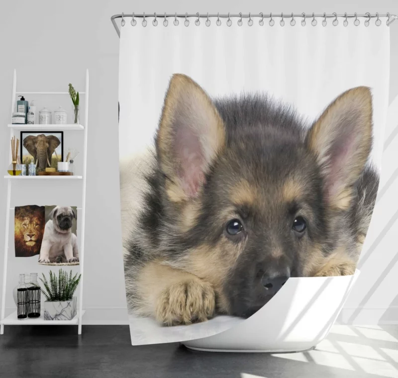 Cat and Dog Duo Adorable Companions Shower Curtain