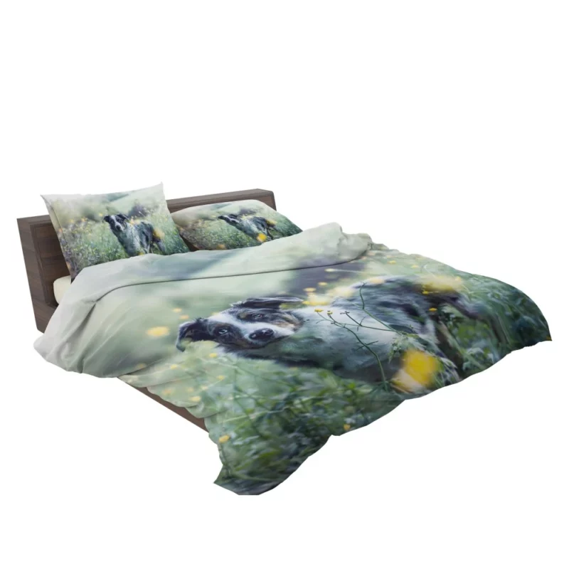 Cat and Kitten Cozy Blanket Moment Bedding Set 2