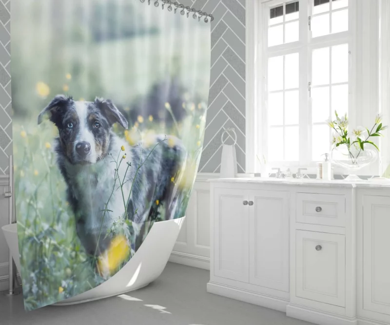 Cat and Kitten Cozy Blanket Moment Shower Curtain 1