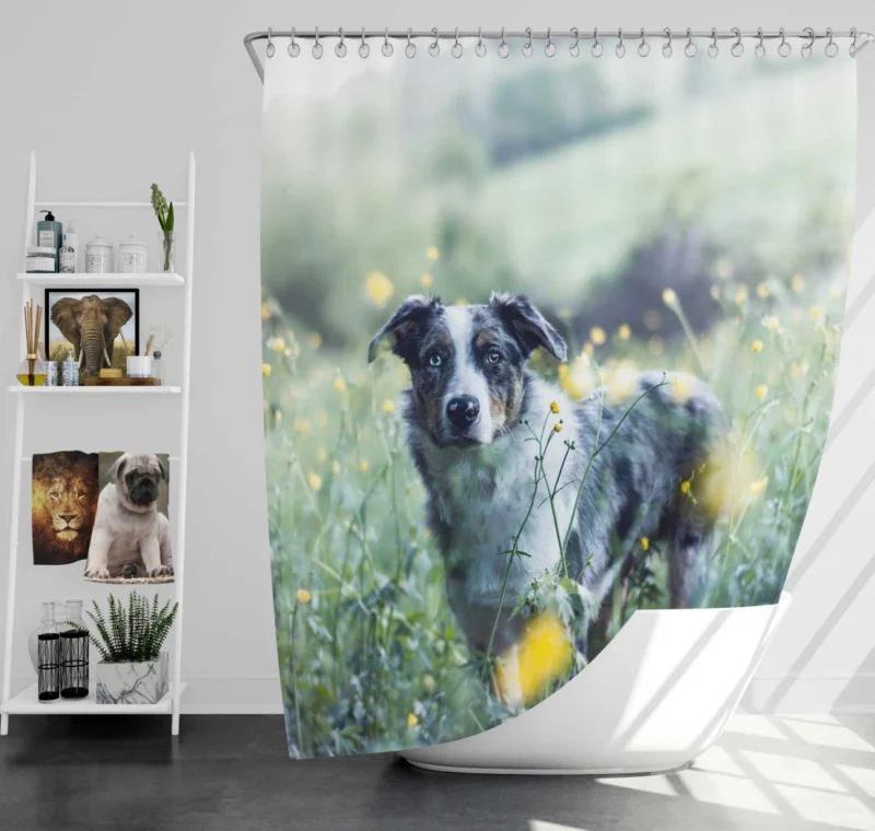 Cat and Kitten Cozy Blanket Moment Shower Curtain