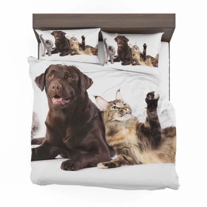 Cats and Dogs Adorable Companions Bedding Set 1