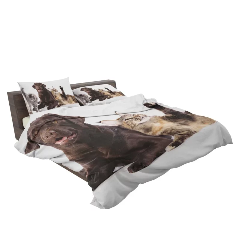 Cats and Dogs Adorable Companions Bedding Set 2