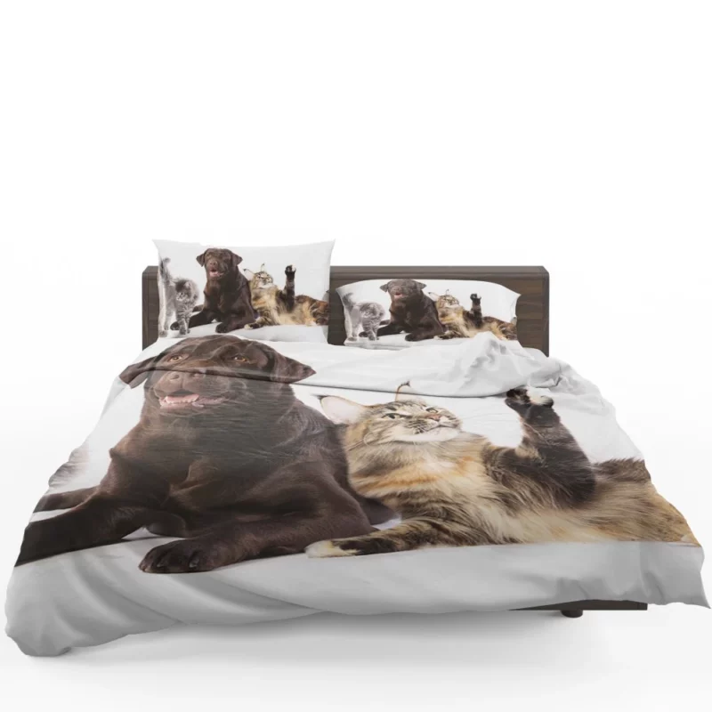 Cats and Dogs Adorable Companions Bedding Set