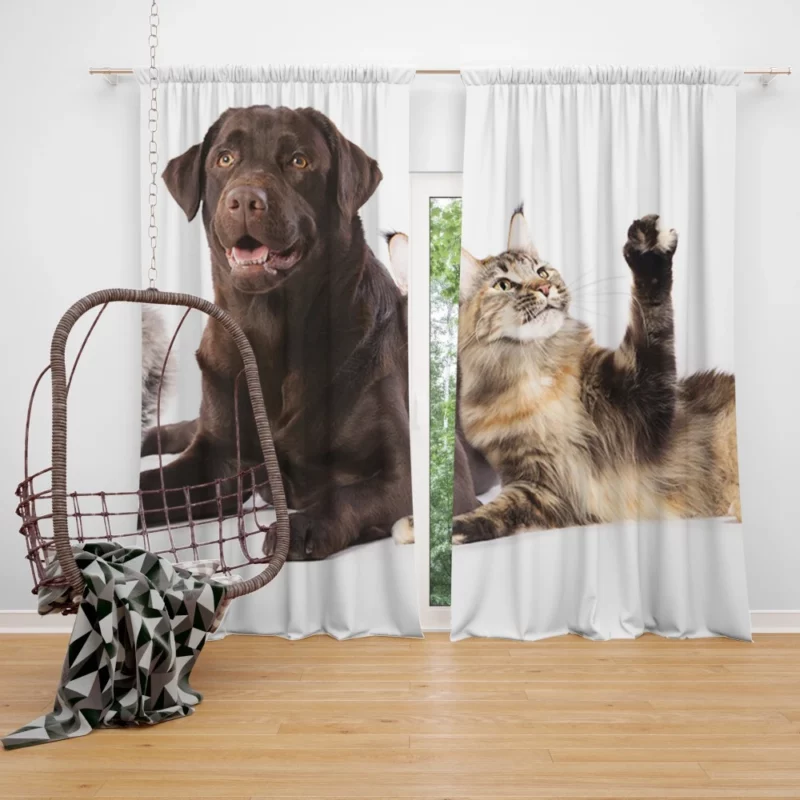 Cats and Dogs Adorable Companions Curtain