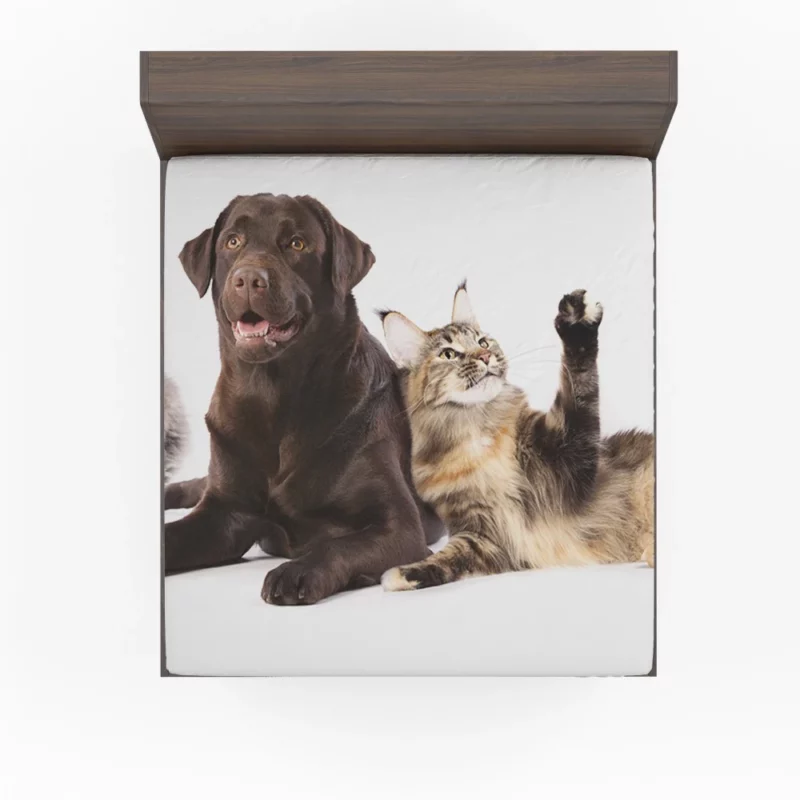 Cats and Dogs Adorable Companions Fitted Sheet 1