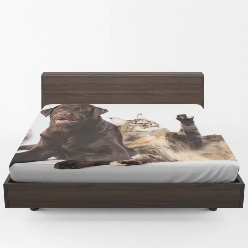 Cats and Dogs Adorable Companions Fitted Sheet