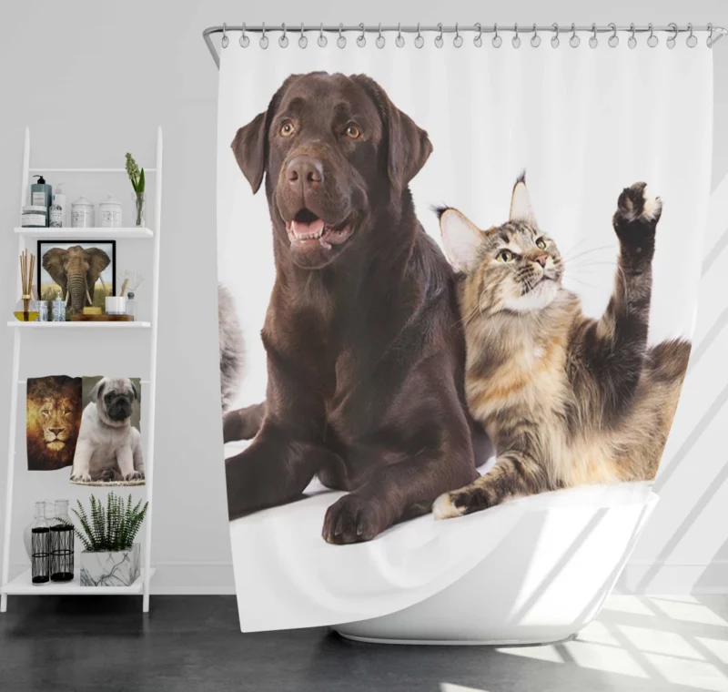 Cats and Dogs Adorable Companions Shower Curtain