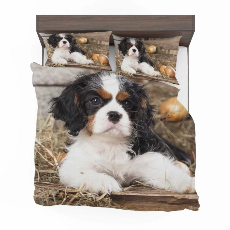 Cavalier King Charles Puppy Heartwarming Charm Bedding Set 1