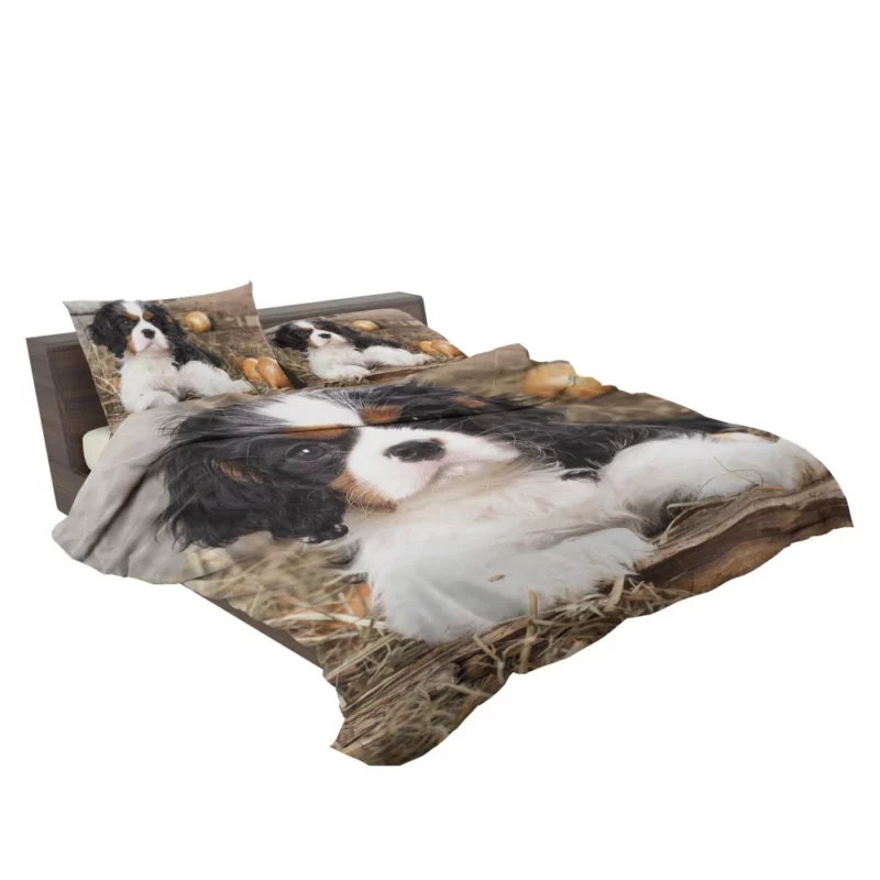 Cavalier King Charles Puppy Heartwarming Charm Bedding Set 2