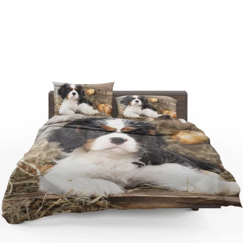 Cavalier King Charles Puppy Heartwarming Charm Bedding Set