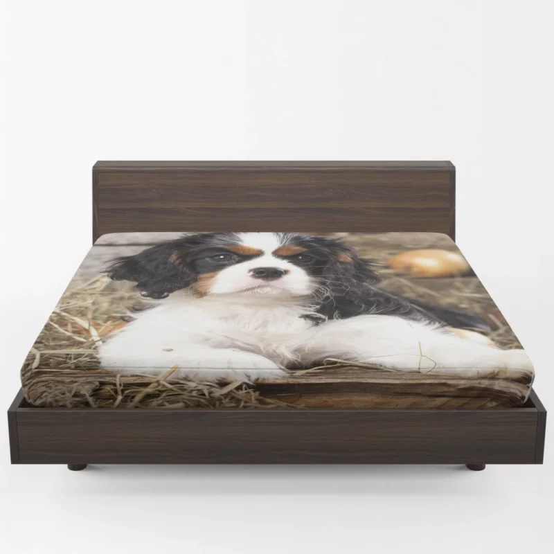 Cavalier King Charles Puppy Heartwarming Charm Fitted Sheet