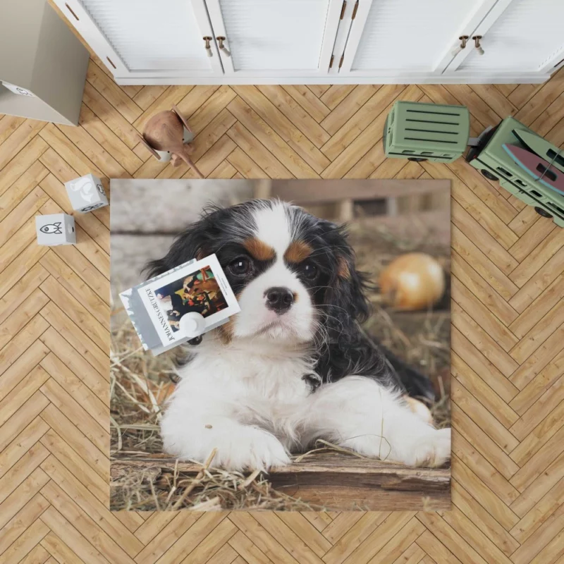 Cavalier King Charles Puppy Heartwarming Charm Rug