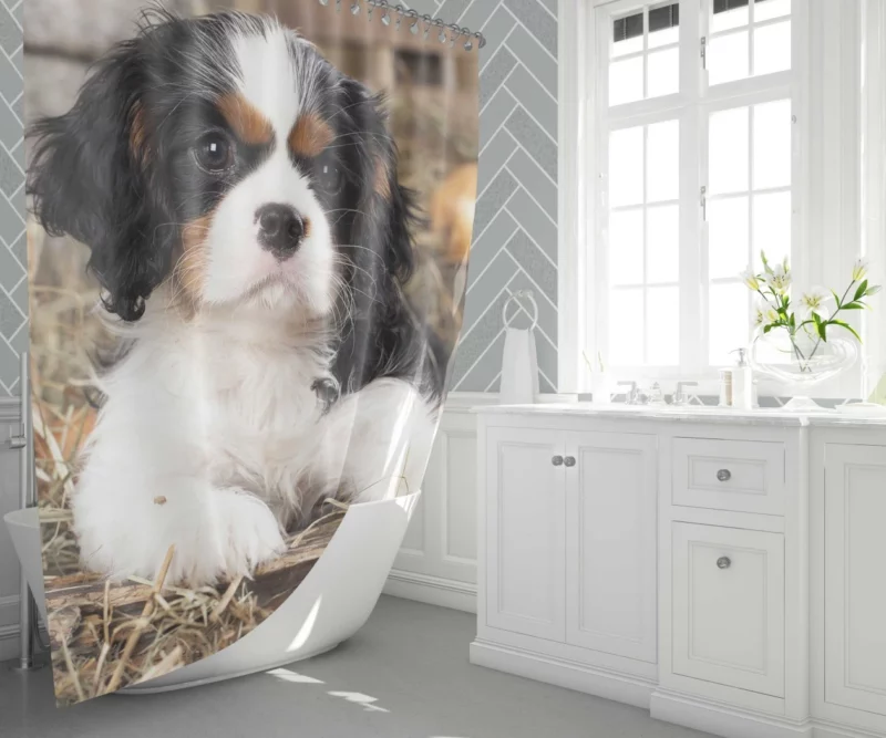 Cavalier King Charles Puppy Heartwarming Charm Shower Curtain 1