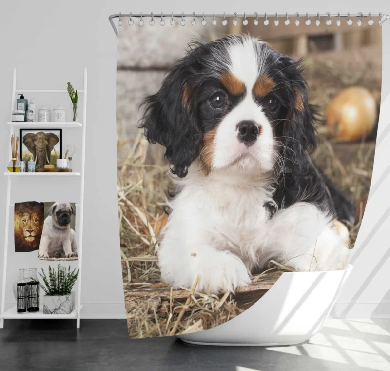 Cavalier King Charles Puppy Heartwarming Charm Shower Curtain