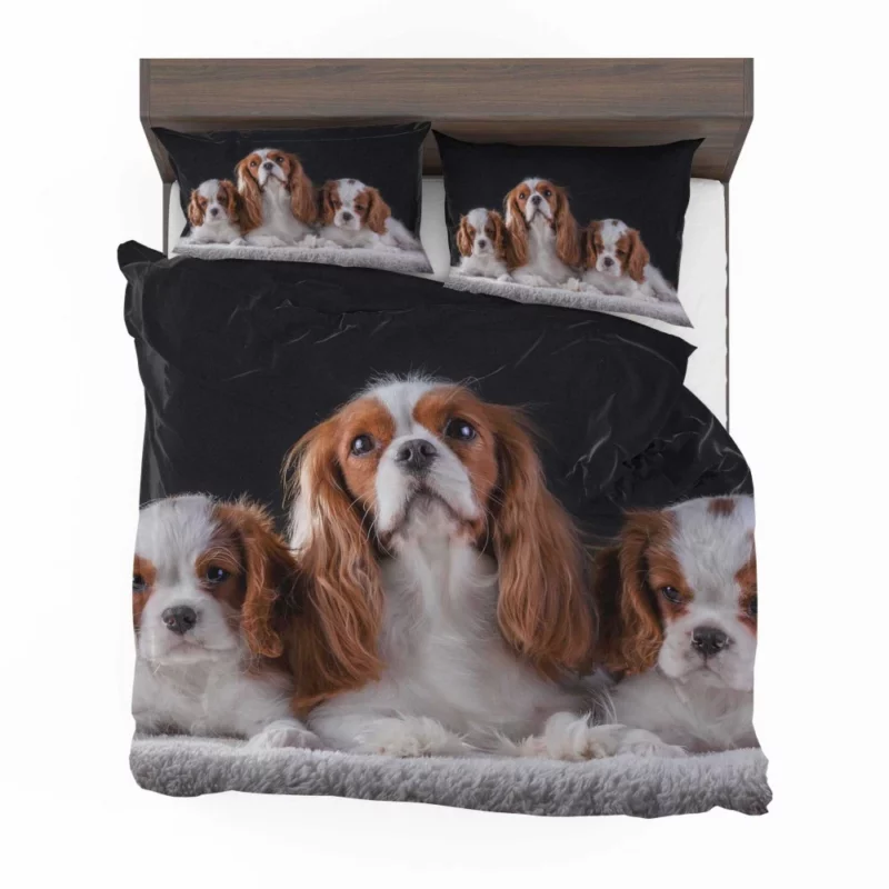 Cavalier King Charles Spaniel Puppies Delight Bedding Set 1