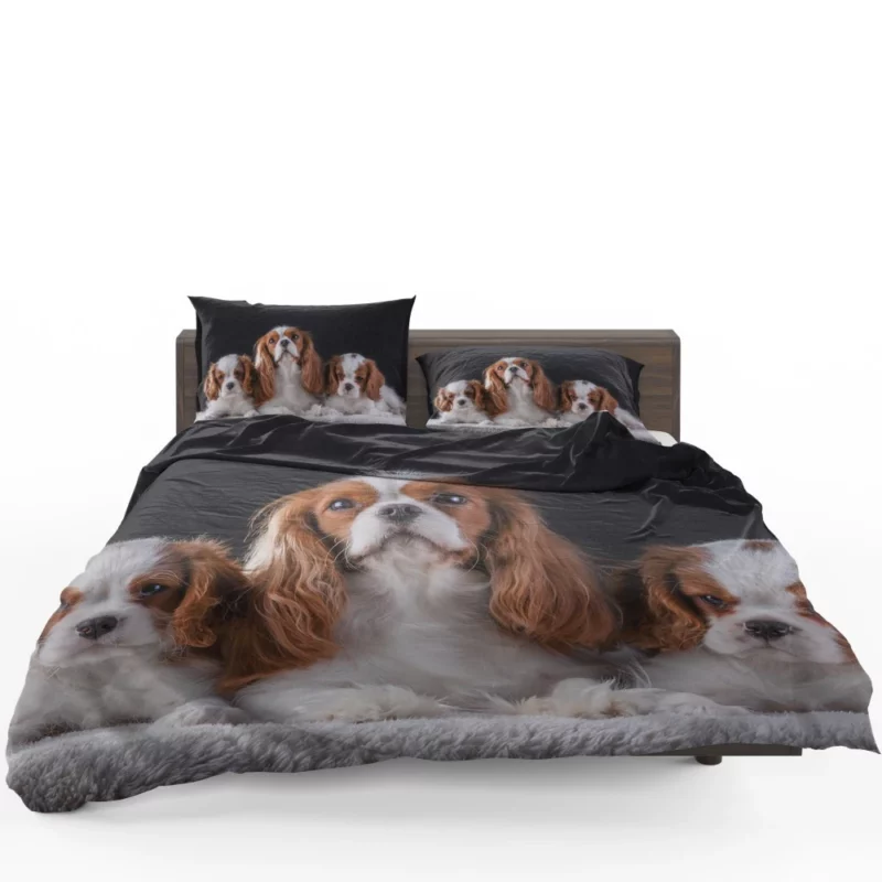 Cavalier King Charles Spaniel Puppies Delight Bedding Set