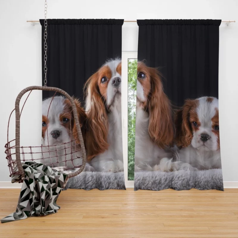 Cavalier King Charles Spaniel Puppies Delight Curtain