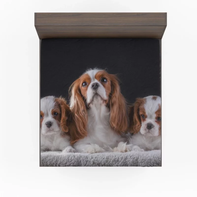 Cavalier King Charles Spaniel Puppies Delight Fitted Sheet 1