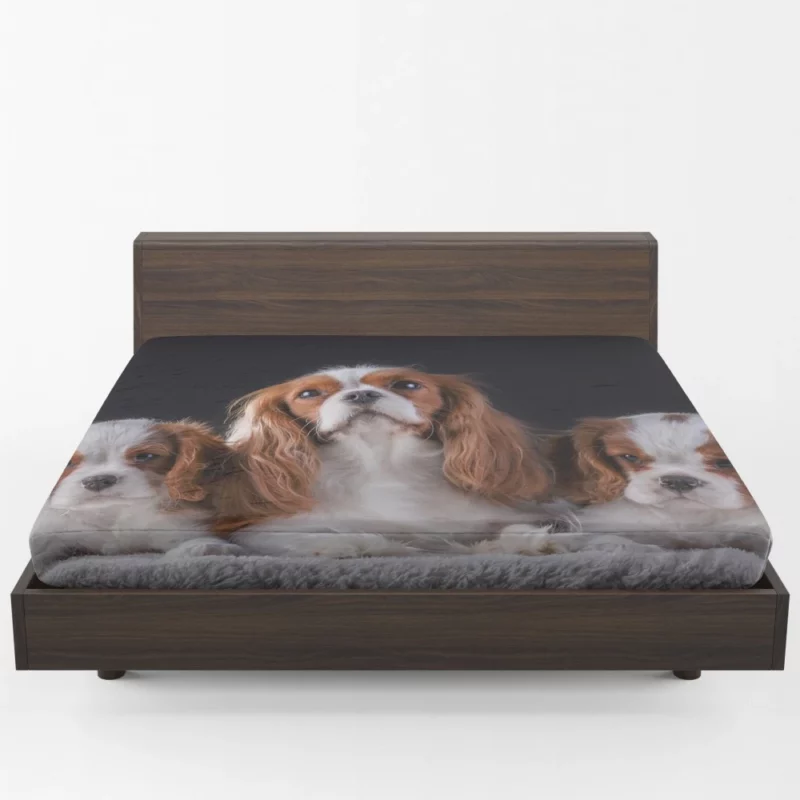 Cavalier King Charles Spaniel Puppies Delight Fitted Sheet