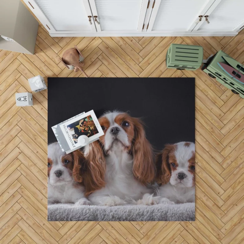 Cavalier King Charles Spaniel Puppies Delight Rug