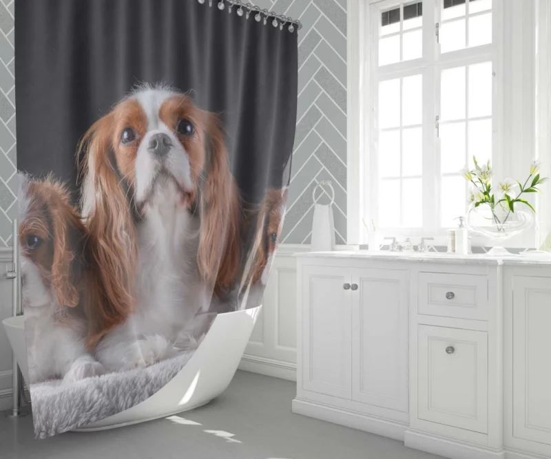 Cavalier King Charles Spaniel Puppies Delight Shower Curtain 1