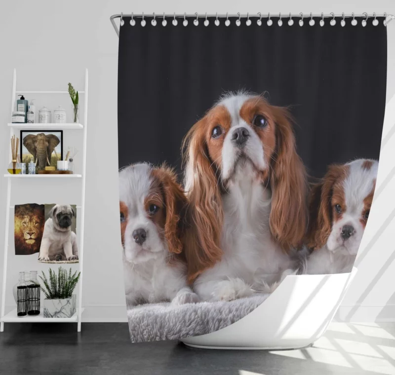 Cavalier King Charles Spaniel Puppies Delight Shower Curtain