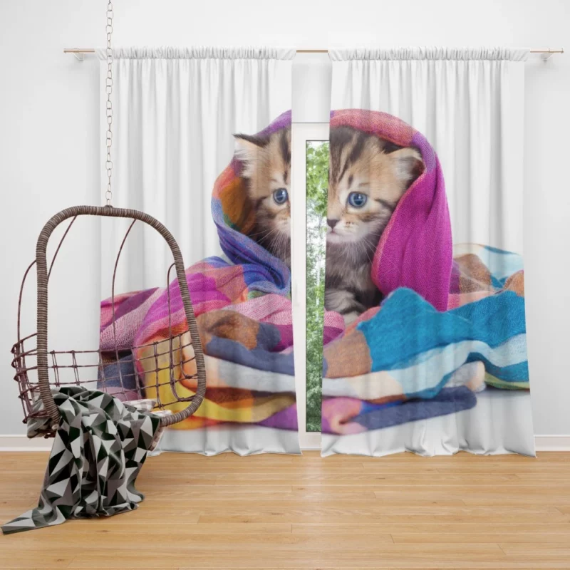 Cavalier King Charles Spaniel Puppies Love Curtain