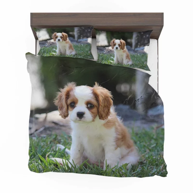 Cavalier Spaniel Puppy Regal Play Bedding Set 1