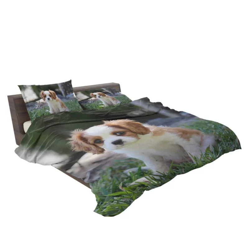 Cavalier Spaniel Puppy Regal Play Bedding Set 2