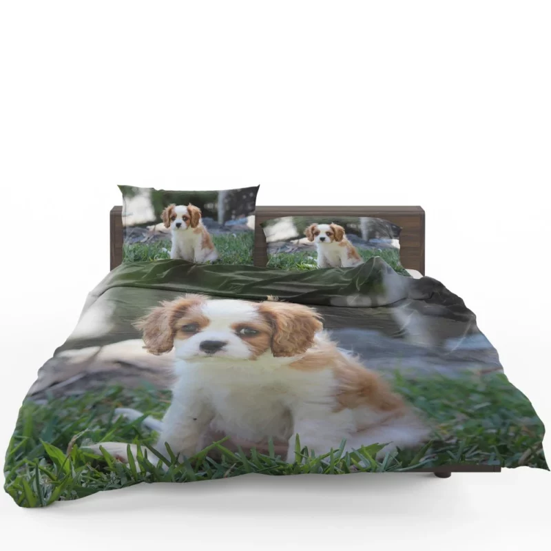 Cavalier Spaniel Puppy Regal Play Bedding Set