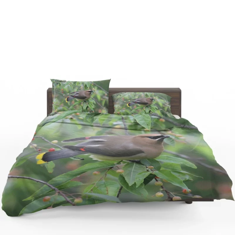 Cedar Waxwing Berry Feast Natural Gourmet Bedding Set