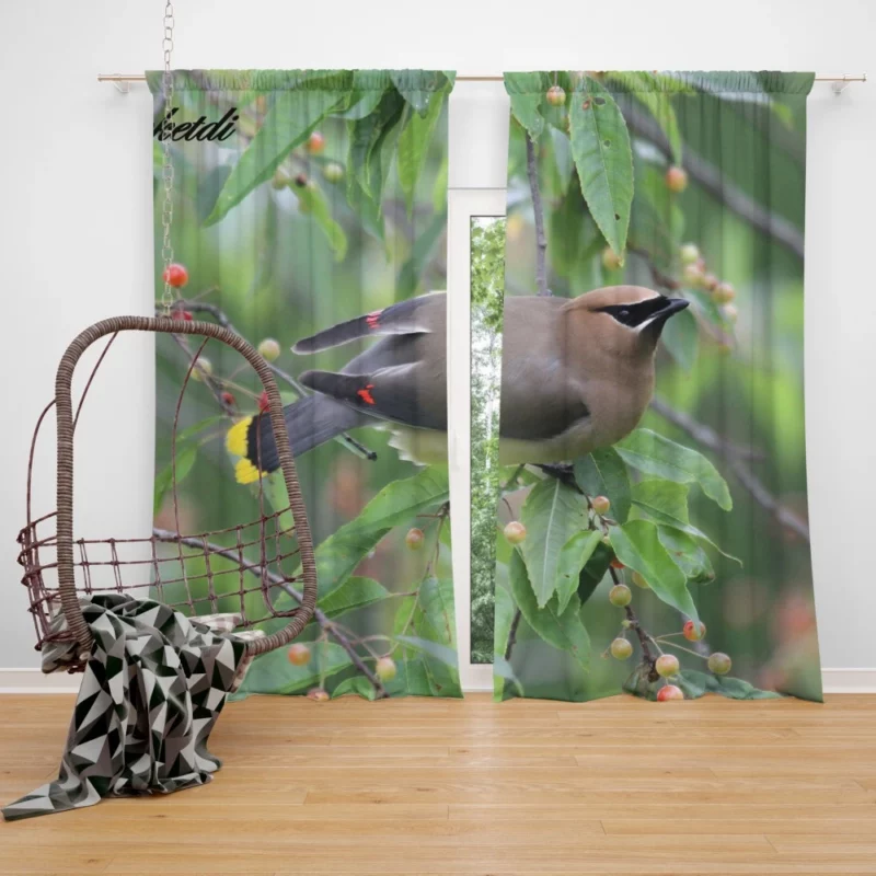 Cedar Waxwing Berry Feast Natural Gourmet Curtain