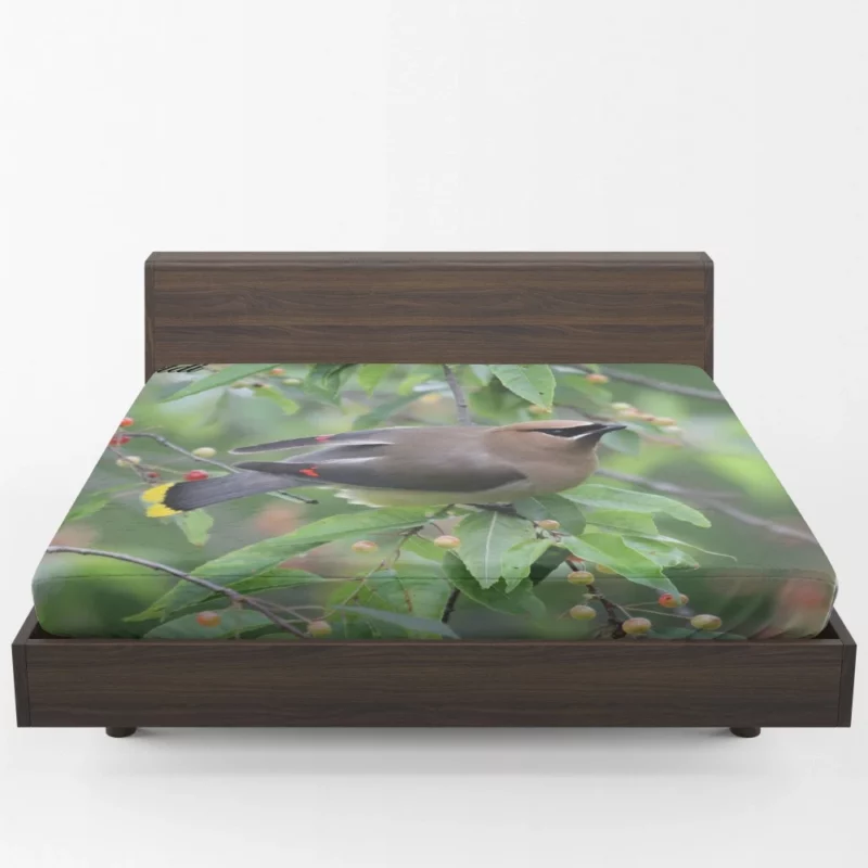 Cedar Waxwing Berry Feast Natural Gourmet Fitted Sheet