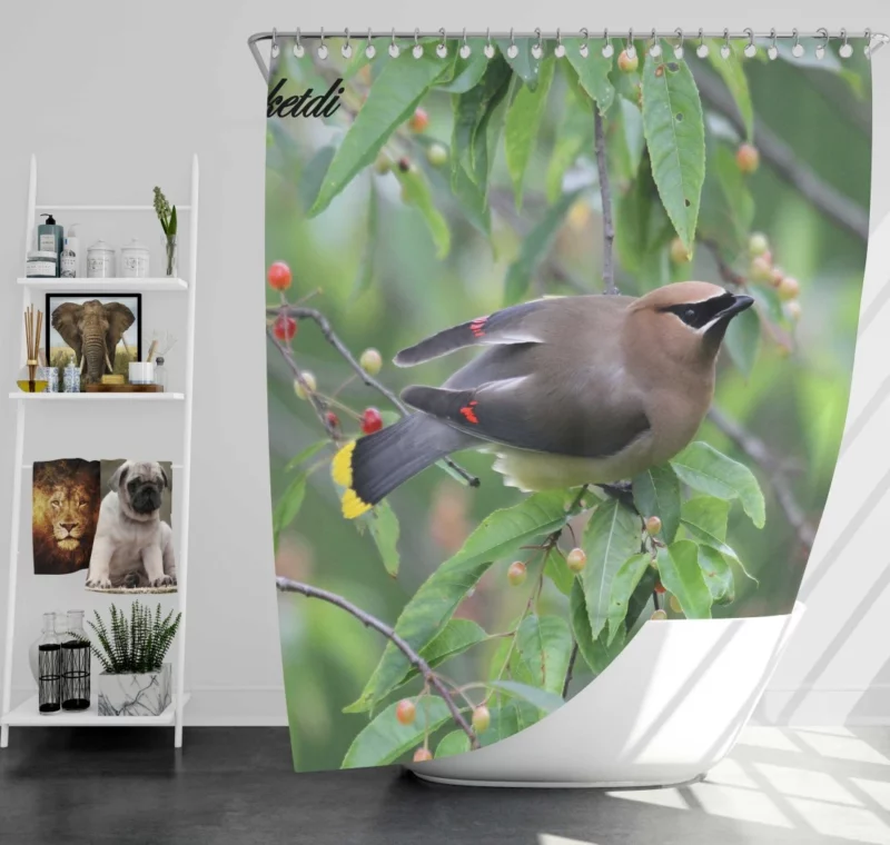 Cedar Waxwing Berry Feast Natural Gourmet Shower Curtain