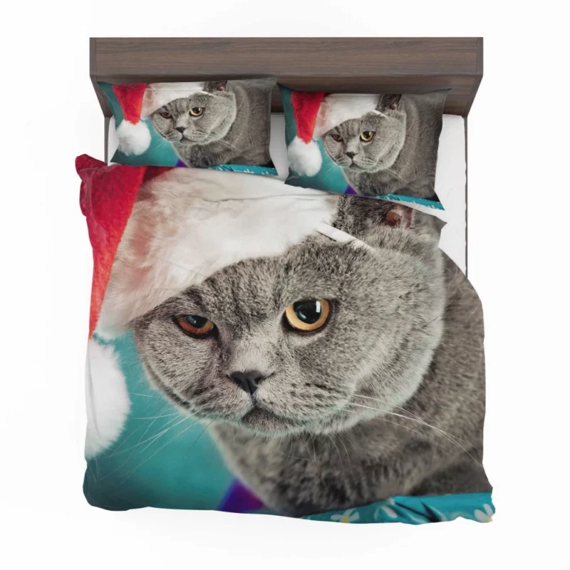 Charm of Play Cat Whisker Antics Bedding Set 1