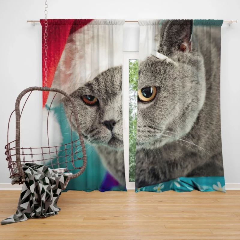 Charm of Play Cat Whisker Antics Curtain