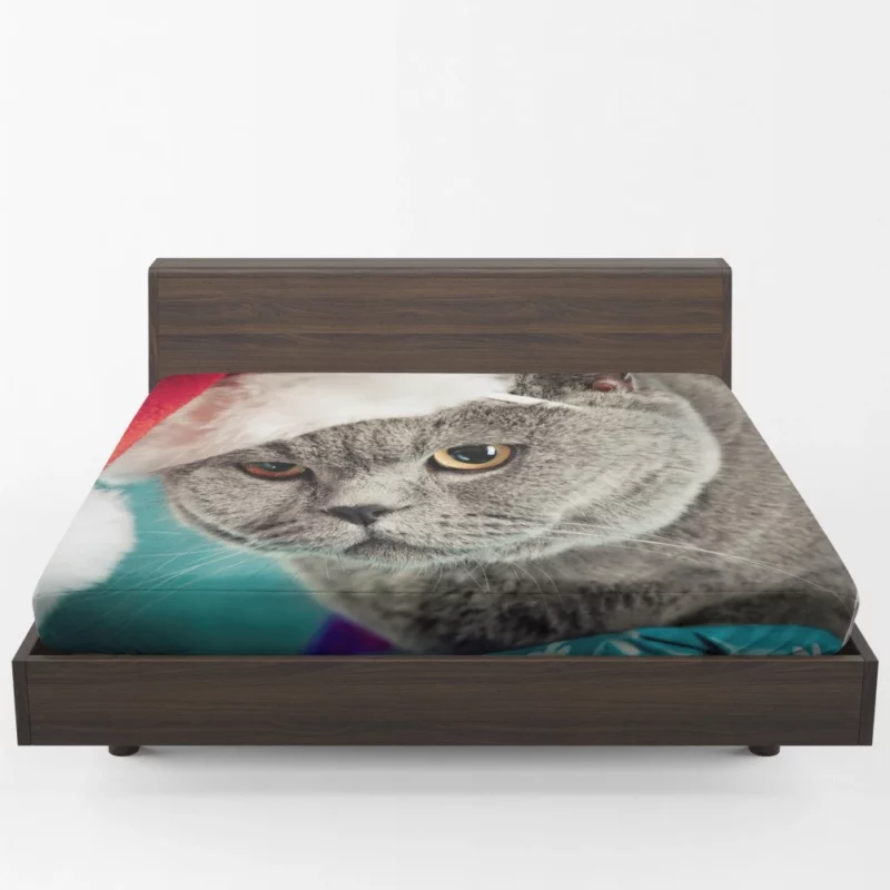 Charm of Play Cat Whisker Antics Fitted Sheet