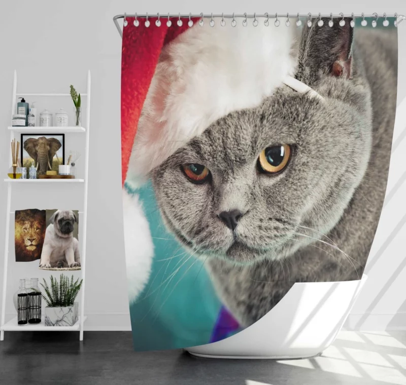 Charm of Play Cat Whisker Antics Shower Curtain