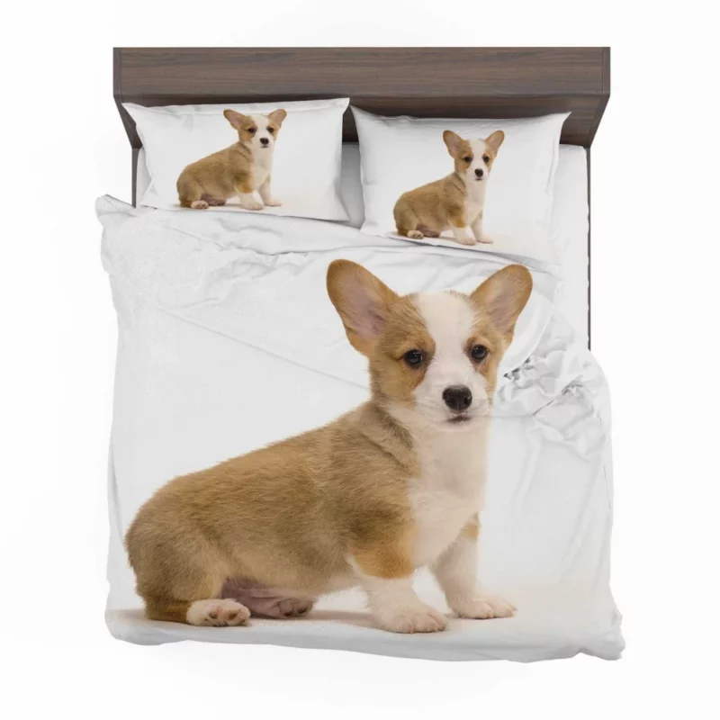 Charming Corgi Playful Canine Beauty Bedding Set 1