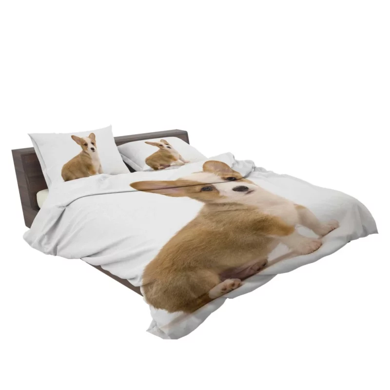 Charming Corgi Playful Canine Beauty Bedding Set 2