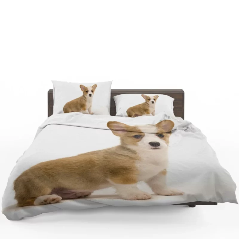 Charming Corgi Playful Canine Beauty Bedding Set