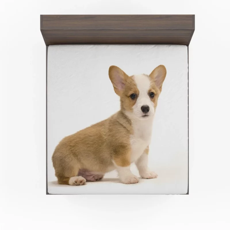 Charming Corgi Playful Canine Beauty Fitted Sheet 1